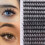 False Eyelashes Natural Volume Black 40 Pieces 4