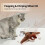 Interactive Flying Bird Toy for Cats 1 Pack 4
