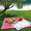 Rustic wicker picnic basket with lid and handle 2