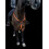LED Breastplate Rechargeable Pony Cob 2