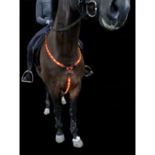 LED Breastplate Rechargeable Pony Cob 1