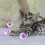 Ghost Hunting Cat Ball Toy 6 Pieces 4