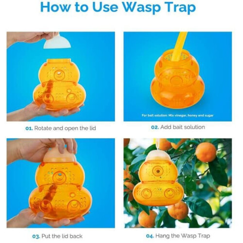 Wasp trap 13x15 cm 1