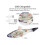 Squeaking Fish Cat Toy Rechargeable Silver 1pc 2