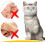 Cat muzzle for grooming and treatment white medium 5