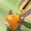 Otamatone Ιαπωνικό Ηλεκτρονικό Μουσικό Όργανο Φορητό Συνθεσάιζερ Διασκεδαστικό 4