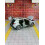 Qashqai alloy car model ornament 1:32 white 4