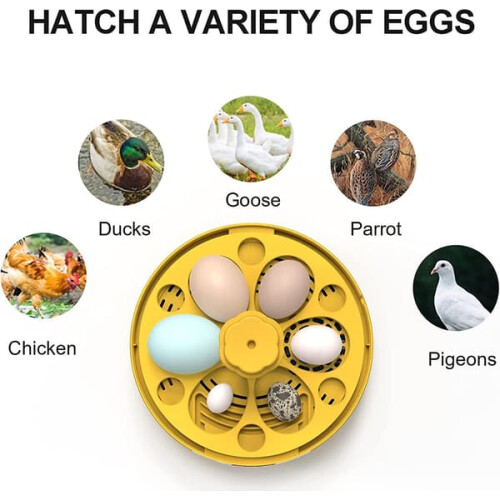 Digital Egg Incubator for Chickens Ducks Birds 6-Egg 1