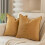 Ensemble de 2 housses de coussin en velours 50 x 50 cm 1