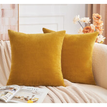 Housse de coussin carrée en velours 40 x 40 cm (lot de 2)
