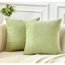 Ensemble de 2 housses de coussin en velours 45 x 45 cm
