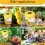 Wasp Trap Outdoor Reusable Hanging 2-Pack 6