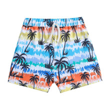 Boy's swim shorts quick-dry summer print 1 piece