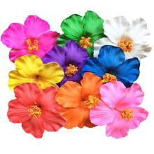 Plumeria Haarspangen-Set für hawaiianische Brauthochzeiten, 6-teilig