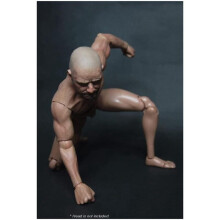 1/6 Scale Narrow Shoulder Male Body Doll Action Figure for TTM18 TTM19 Hot Toys & Human Body Sketch Model