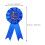 HEMOTON Satin Rosette Ribbon Badge Set 9 pcs 8
