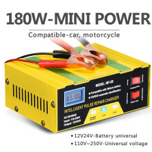 Intelligentes Impuls-Batterieladegerät 12V/24V für Auto und LKW