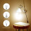 Διακόπτης ρύθμισης φωτεινότητας LED 1W-150W με ρύθμιση φωτεινότητας 2