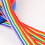 Preschool walking rope with handles, 10-piece set 5