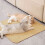 Cat sisal scratching mat horizontal khaki 40x60 cm 3