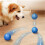 Interactive Dog Ball Blue USB Rechargeable Smart Rolling Toy 2