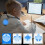 Smart Back Posture Corrector with Vibration Reminder 3
