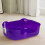 Jumbo Cat Litter Tray Low-Entry Plastic 2 pcs 4