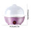 Mini electric egg cooker stainless steel 7-egg pink 3