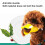 Silicone Duck-Bill Dog Muzzle Adjustable for Small to 2