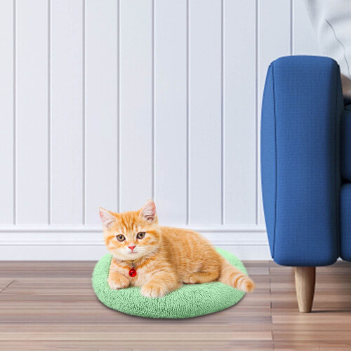 Litière confortable pour petits chats et chiens 2