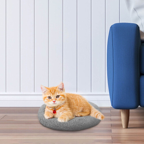 Leaba Cat Chompordach Codlata Peataí Méid Beag 2