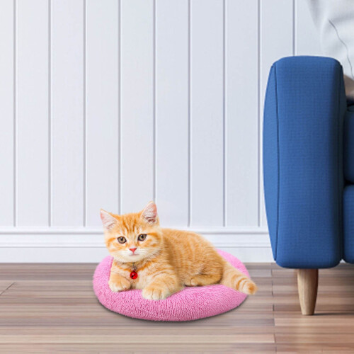 Cama cómoda para gatos pequeños (2025) 2