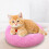 Cama cómoda para gatos pequeños (2025) 4
