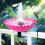 Outdoor Bird Bath and Feeder Dual-Purpose 4