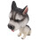 Husky bobblehead figur bil instrumentbræt dekoration 6