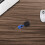 Tiny Mics professionele microfoon (1 stuk) 8
