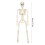 Squelette articulé lumineux LED 40 cm 3