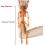 Halloween Pumpkin Skeleton Decorations with Posable Joints 4