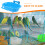 Vaschetta da bagno per pappagalli (1 pezzo) 4