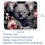 Antislip muismat van rubber met koala-design (1 stuk) 5