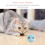 Interactive Chirping Cat Toy Balls with Frog Cricket Bird 3