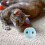 Interactive Chirping Cat Toy Balls with Frog Cricket Bird 7