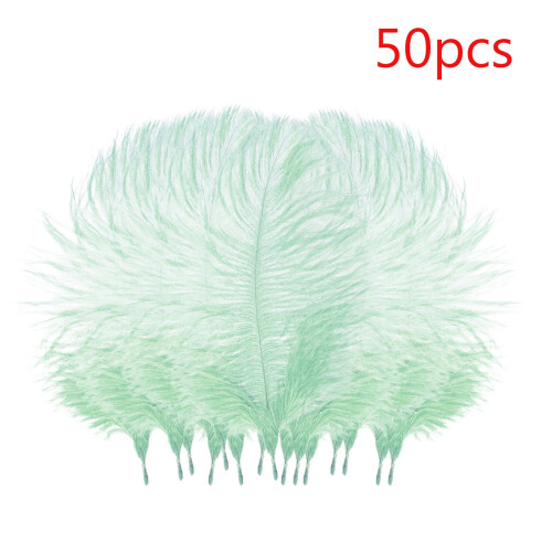 Ostrich Feathers Craft Supplies 50 pcs 1