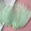 Ostrich Feathers Craft Supplies 50 pcs 3
