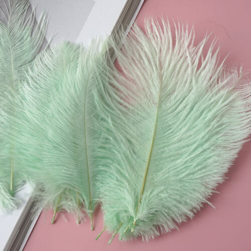 Ostrich Feathers Craft Supplies 50 pcs 2