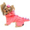Dinosaur-kostume til mellemstore og store hunde 1