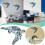 Sea Turtle Wall Decor Ocean Theme Art for Home Office 2