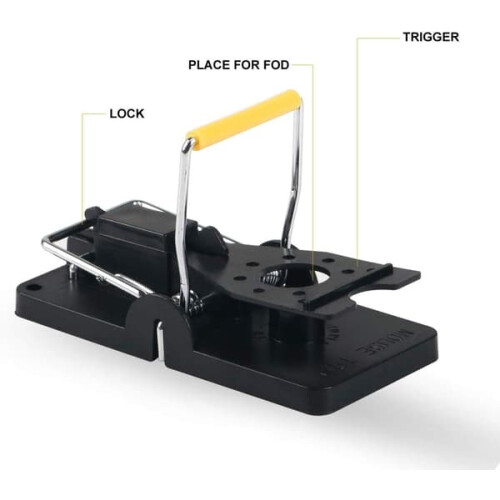 Rat Trap Reusable 6-Pack 2
