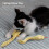 Galaxy cat kicker toys with catnip 3 pcs 4