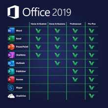 Microsoft Office 2019 Professional Plus 64-bit DVD